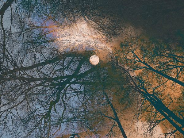 Geschichtetes Bild - 134