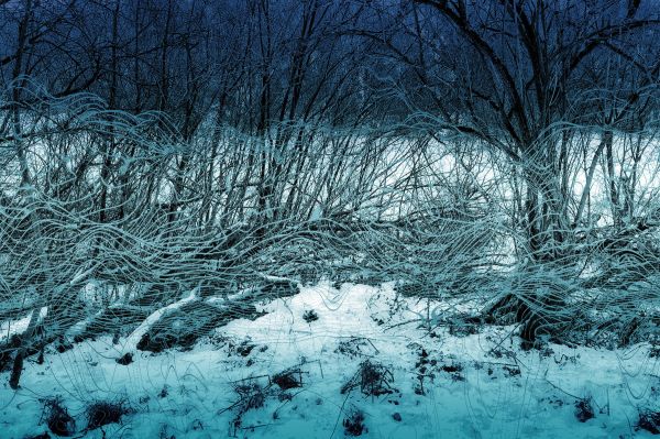 Geschichtetes Bild - 4403