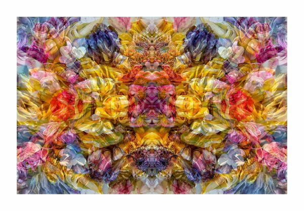 Gespiegeltes Bild - 0886