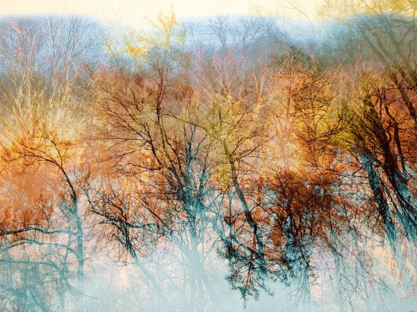 Geschichtetes Bild - 147