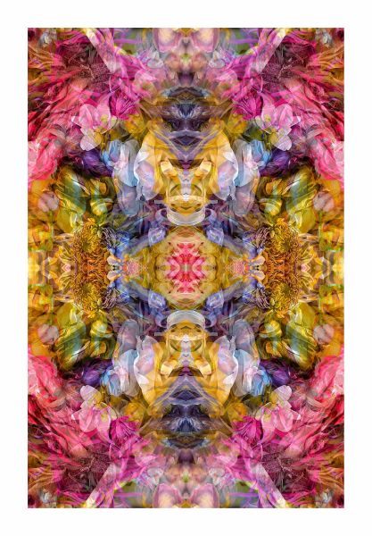 Gespiegeltes Bild - 0785