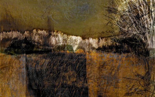 Geschichtetes Bild - 5509