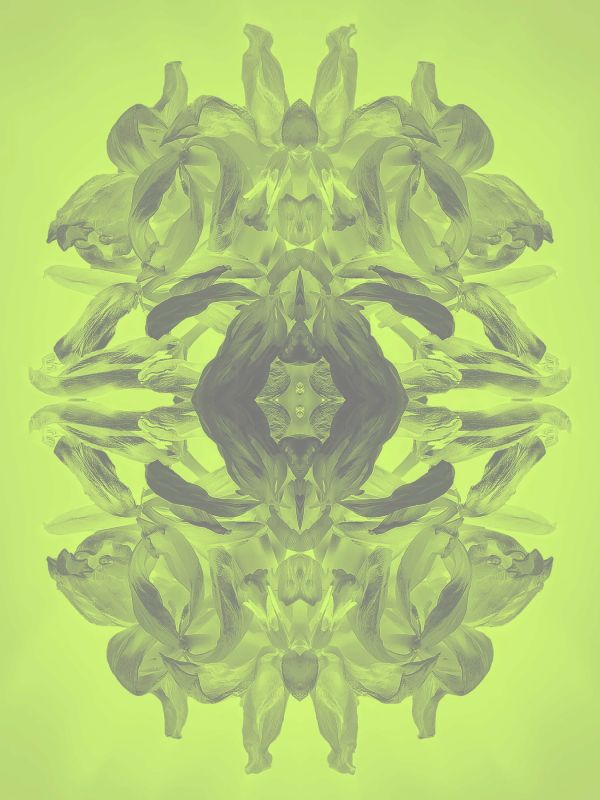 Gespiegelte Werke