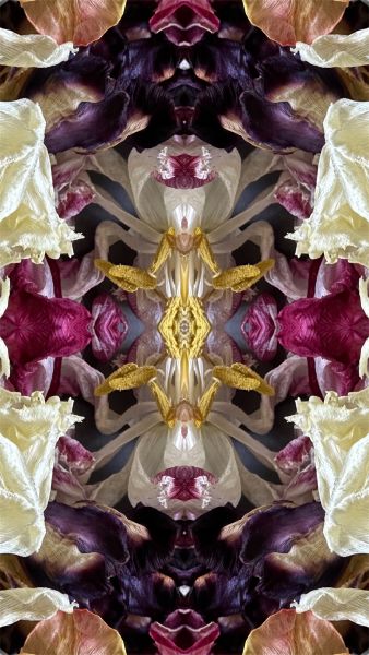Gespiegeltes Bild - 1026
