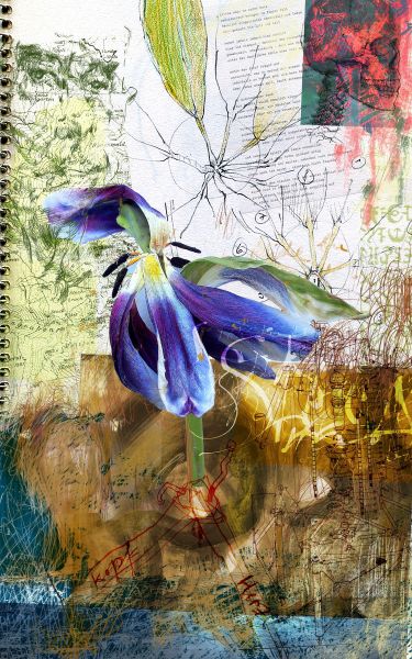 Geschichtetes Bild - 79 Procreate