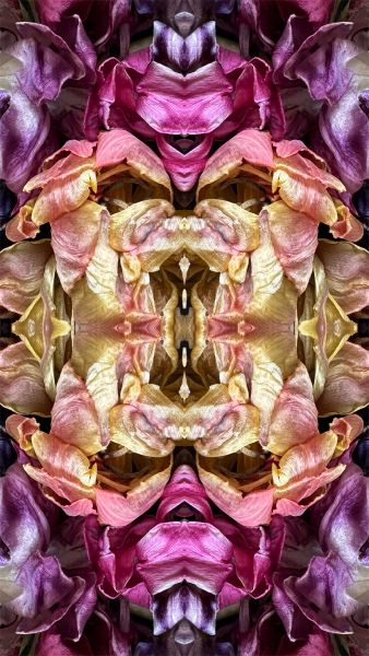 Gespiegeltes Bild - 1043