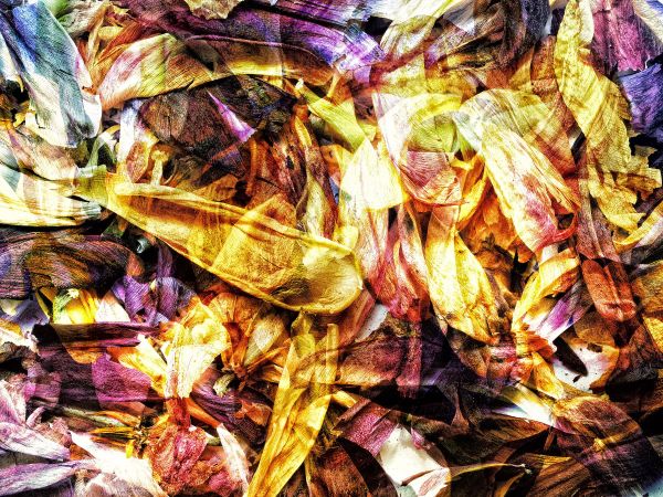 Geschichtetes Bild - 174