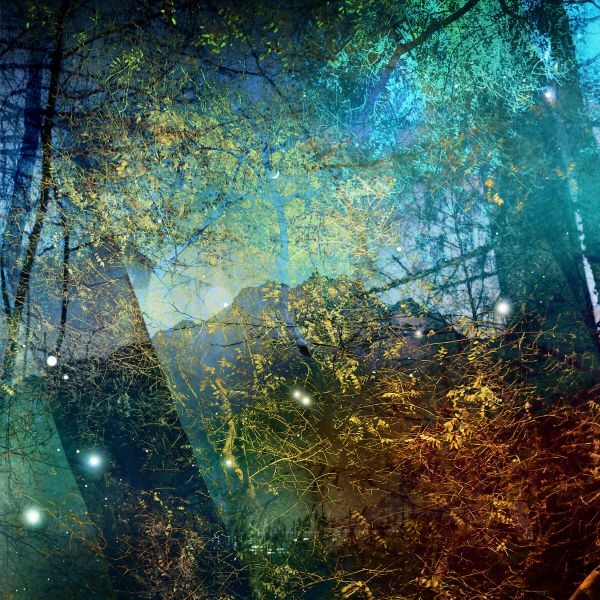 Geschichtetes Bild - 4432