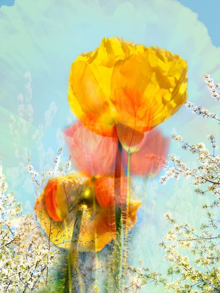 Geschichtetes Bild - Leinwand 12