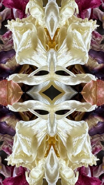 Gespiegeltes Bild - 1036