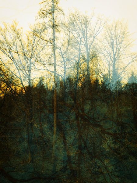 Geschichtetes Bild - 129