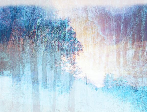 Geschichtetes Bild - 156