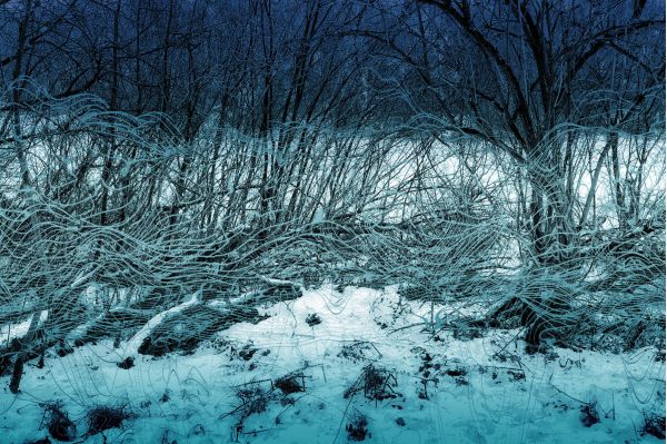 Geschichtetes Bild - 4403