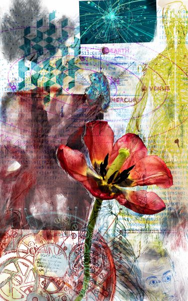 Geschichtetes Bild - 88 Procreate