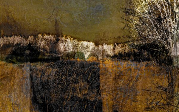 Geschichtetes Bild - 5509