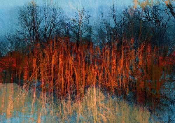 Geschichtetes Bild - erkennst du es