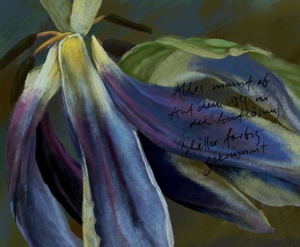 Malerisches Bild - 7208