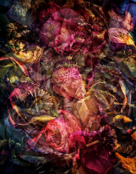 Geschichtetes Bild - 0173