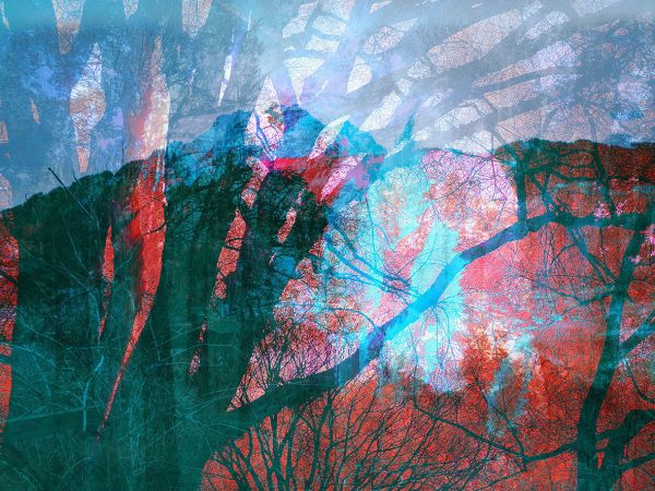 Geschichtetes Bild - zweifelnd